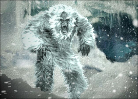 Yeti