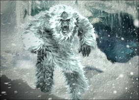 Yeti