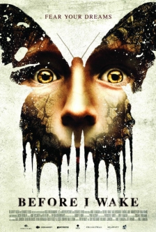 Before I Wake